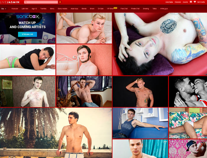 Top premium sex website featuring tons of boy live webcams